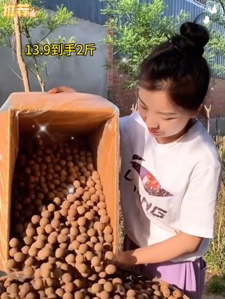 13.9到手2斤桂圆干,真的太划算了!煲汤泡水都非常不错 #桂圆 #口感特别好吃 #口感特别好 #美食推荐