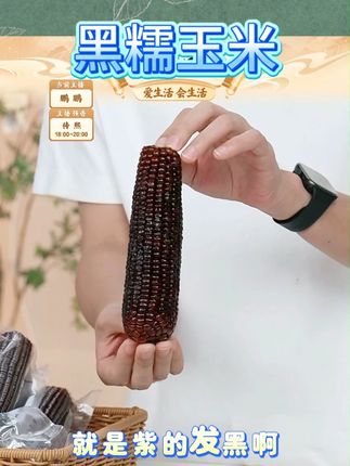 山西黑糯玉米 #黑糯玉米 #糯玉米 #非常好吃 #软糯香甜