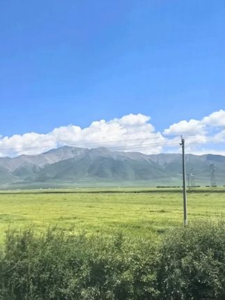 初中专用全套生课本包书皮自粘透明初一书膜书本保护套A4尺寸#书皮 #透明书皮 #自粘书皮 #书本保护套 #课本书皮