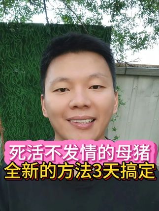 死活不发情的母猪,全新的方法3天搞定! #养猪经验 #母猪不发情 #快速解决母猪不发情 #母猪不发情怎么办 #母猪不发情的妙招