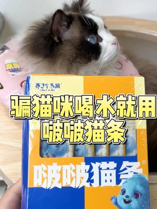 骗猫咪喝水,可以用这款啵啵猫条。#猫条 #猫条推荐 #猫咪 #抖音我要上热门