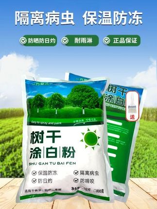 果树涂白剂含石硫合剂涂刷树粉冬树干刷白防寒保暖防日灼#涂白剂 #树干刷白剂 #果树涂白剂 #果树涂白剂防虫防冻 #果树涂白剂防寒防虫防日晒