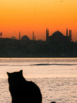 #平价穿搭 #韩系穿搭 #简约穿搭 #早秋穿搭 #面料柔软舒适 u