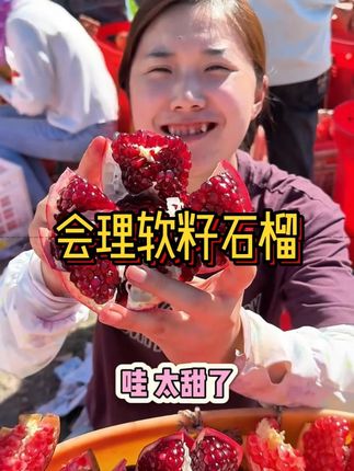 四川会理软籽石榴成熟了,不用吐籽的石榴,#石榴 #软籽石榴 #新鲜应季水果