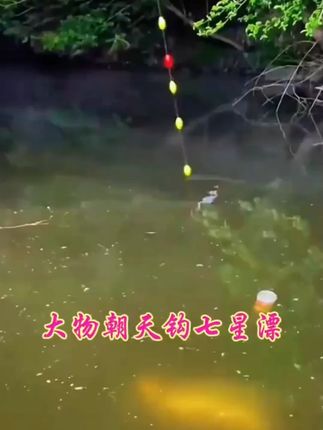 挑战巨物鹤渔人大力马大物朝天钩线组大漂醒目免调漂野钓巨物专用 #目免调漂野钓 #物朝天钩线组 #渔具用品