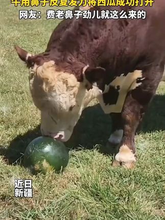 #穿搭 #显瘦穿搭 #小个子穿搭 #裤子 !)!4jkjj