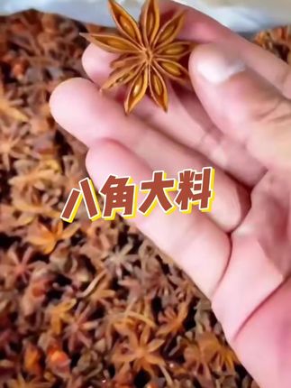 #茴香八角#广西茴香八角 #八角#调料