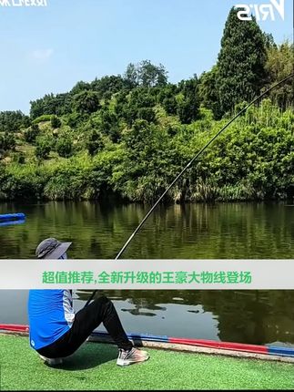 威拓森轻量鲢鳙鱼线套装