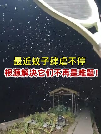 最近蚊子肆虐不停,根源解决它们不再是难题 #灭蚊虫小妙招 #灭蚊神器 #驱蚊 #基孔肯雅热 #蚊虫克星
