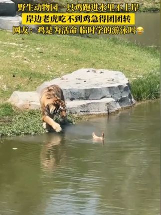 【泡面先生定制】哇噻火鸡面141g方便面酷辣哇塞泡面夜宵拌面#美食推荐 #抖音美食推荐官 #今天吃什么 #必吃榜 #好好吃饭