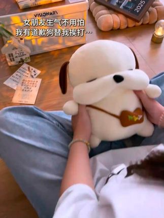 “真是被气笑了 男朋友为了哄我真是什么都做得出来哈哈哈哈太可爱啦”#毛绒玩具 #道歉狗 #情侣礼物