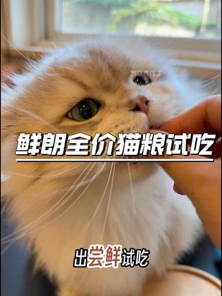 贵贵的鲜朗也来卷试吃啦~到手五包试吃才只要多少钱你自己看 #猫粮 #萌宠好物 #科学养宠攻略 #鲜朗 #鲜朗猫粮