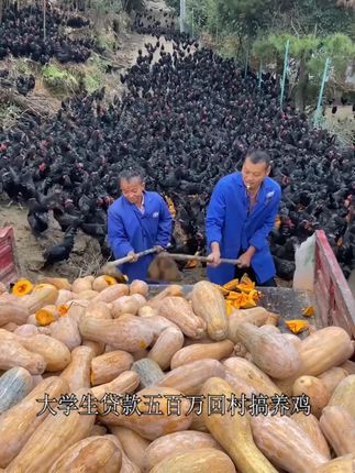可生食黑凤乌鸡蛋,相信我,没吃过的真心可以试试# 可生食鸡蛋 # 无菌蛋可生食 # 黑鸡蛋 # 优质农产品