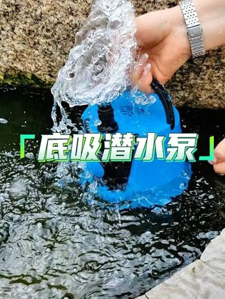 底吸泵在抽水换水的同时能带走鱼便残渣,还能用在鱼缸循环过滤里#底吸泵 #鱼缸潜水泵 #水族用品