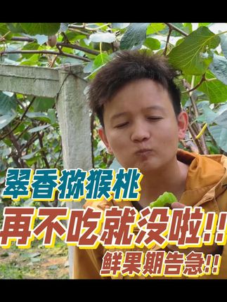 现在正是口感巅峰期⏳ 错过又要等一年啦!!冲鸭!🛒 陕西周至可是公认的“猕猴桃之乡”哦!秦岭脚下昼夜温差大,阳光灌饱了每一颗果子。果农们坚持自然熟,等到糖分攒够了才采摘,难怪甜度轻松飙到18+!🤯 收到后摸起来硬的话别急!和苹果放一起催熟2-3天,等到轻轻一按有弹性,就是最佳赏味期啦~ 翠香是娇气包!软了就要赶紧吃掉,建议分批催熟,每天都有软fufu的吃~#鲜果 #翠香猕猴桃 #周至猕猴桃 #真的很好吃 #要吃的快来哟