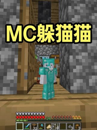 我是躲猫猫大神! #我的世界