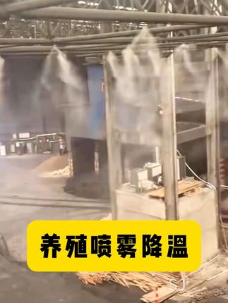 养殖场降温喷雾神器,出水细腻均匀,可以降温10度左右#养殖场降温#养殖场喷雾#高压喷雾