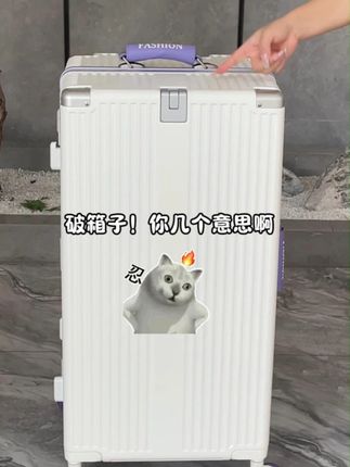 破箱子!你几个意思啊 #行李箱 #多功能行李箱 #行李箱推荐 #旅行箱 #大容量行李箱