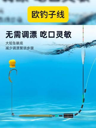 欧鲤钓成品钓鱼子线反底钓丸饵浮球欧钓仿真玉米 #钓鱼子线 #视频同款商品 #好物分享 #钓鱼装备 #欧钓子线 欧钓海竿手竿专用成品子线反底丸饵浮球弹出专用