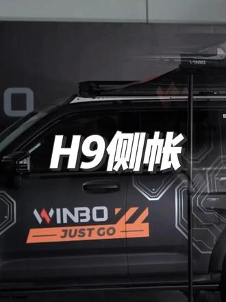 H9 侧帐 winbo #H9侧帐
