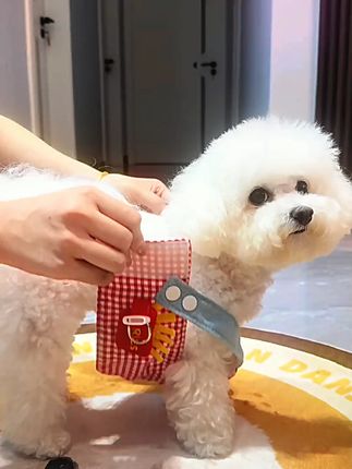 宠物狗狗猫咪鸭子装备套帽子胸背外出牵引用品春夏透气狗狗衣服#宠物用品 #春夏装备 #狗狗服饰 #宠物牵引 #宠物外出