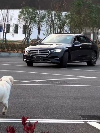24-25 款奔驰 E 级 E300L/E260L 前杠风刀亮条 + 车身防撞饰条,运动感拉满!#奔驰 #风刀亮条 #防撞饰条 #E300L #外观改装