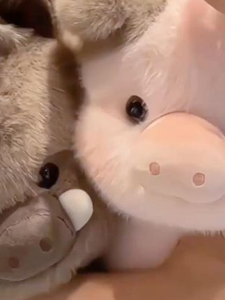 幼崽原创高品质十二生肖小香猪野猪玩偶毛绒玩具公仔娃娃 #玩偶 #毛绒公仔 #礼物 #会跑步的玩偶