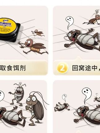 家里蟑螂多的就用这个#蟑螂饵剂 #家家必备 #老管家 #杀蟑胶饵
