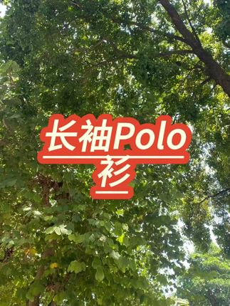男士纯棉翻领Polo衫 #纯棉Polo衫 #休闲打底 #男装上衣