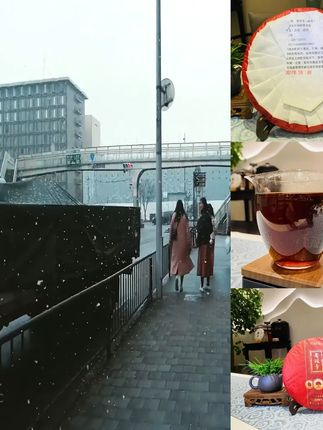 2017年老班章深山普洱茶(熟普)357g珍藏版