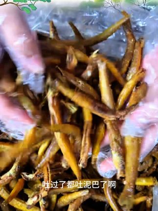 湖南特产小鱼干干货农家淡水鱼干小鱼干无盐无沙小鱼仔不苦干净 #小鱼干煮咸菜 #小鱼干怎么画 #小鱼干 #小鱼干小虾米 #淬火年代