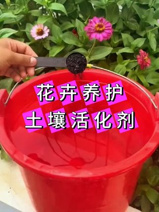 补充营养,疏松土壤,无论是花卉绿植,瓜果蔬菜,还是园林果树都适合#士壤活化剂 #土壤板结