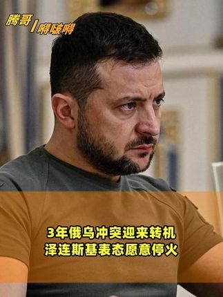 泽连斯基松口,称乌克兰已做好停火准备,向普京开出一个前置条件 #硬核深度计划