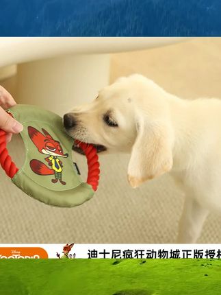 迪士尼疯狂动物城系列狗狗玩具宠物飞盘绳结人犬互动磨牙户外玩具 #宠物玩具 #宠物清洁用品 #宠物干粮