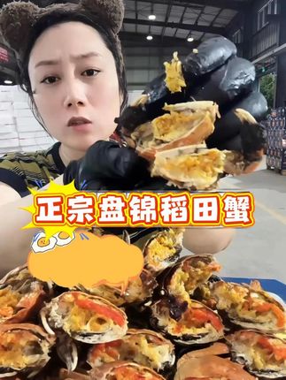 正宗盘锦稻田蟹 正宗盘锦稻田蟹 茉莉小程直播授权切片 盘锦稻田蟹#正宗盘锦稻田#秋天的第一顿螃蟹#盘锦稻田溜达蟹#盘锦稻田蟹上市#盘锦稻田蟹的做法