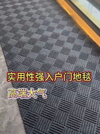 菱形纹地毯地垫入户门垫进门垫子2025新款玄关PVC防滑垫家 #入户门地垫 #防滑地垫 #进门地垫 #地垫 #好物推荐