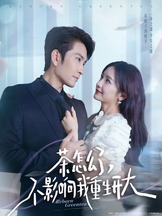 茶怎么了不影响我重生开大全集王已歌伍姣-阿夹克斯