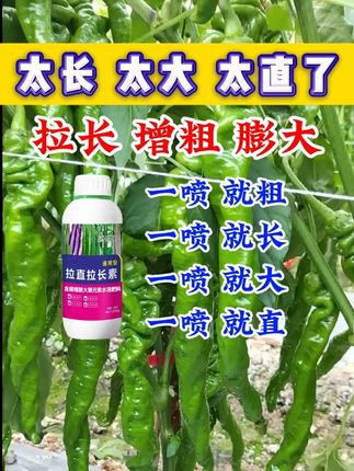 条形好,品质高,丰产丰收,用这个拉直拉长素 辣椒,豆角,茄子,丝瓜,苦瓜萝卜,莴笋,大葱等条形作物都可以使用噢