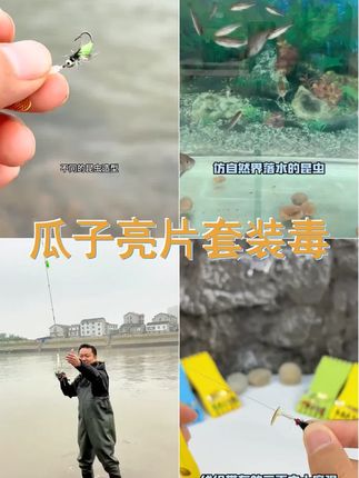 瓜子亮片套装 毒蚊飞蝇钩 助投器 不伤线条 马口微物饵 路亚假饵 #鱼饵钓 #路亚新手入门教程 #飞蝇钩 #瓜子亮片 #路亚假饵