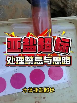 亚盐超标的处理禁忌与思路 #对虾养殖 #对虾养殖技术 #水产养殖 #养虾人 #南美白对虾