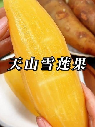 云南天山雪莲果!它的外形独特,带着泥土的芬芳,一口咬下去,汁水四溢,清甜可口#天山雪莲果 #应季水果 #脆甜多汁 #好物推荐