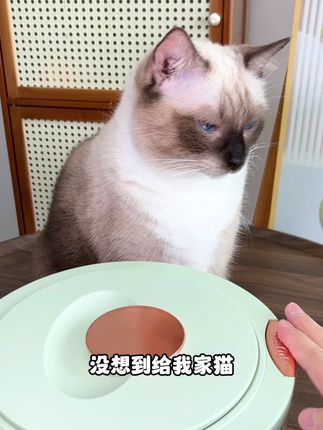 家里养猫的一定要把这个排毛大师给毛孩子备起来,因为里面的云杉纤维可以帮助猫咪温和排出肚里毛球!#萌宠好物 #猫咪排毛 #猫咪冻干 #猫咪排毛球 #猫咪零食