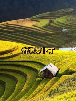 姐妹们👭快快快~9.9到手5斤香辣萝卜丁,都是独立小包装配饭配粥拌面条都嘎嘎好吃,抢到就是赚到!下饭菜 #好吃到停不下来 #萝卜干 #麻辣萝卜丁 #超便宜超划算