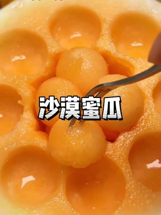 沙漠黄河蜜瓜大丰收了便宜发一箱13.7到手10斤#沙漠蜜瓜 #黄河蜜瓜 #民勤蜜瓜 #甘肃蜜瓜