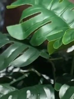 #榴莲冰皮月饼 的大破价!真实添加榴莲果肉,一口爆浆!数量不多,快薅!#榴莲控 #超便宜超划算 #哇又便宜又好吃 #月饼
