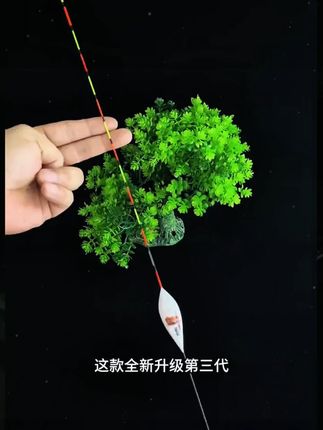 鱼漂 浮漂 钓鱼鱼漂 鱼漂浮漂 路亚浮漂
