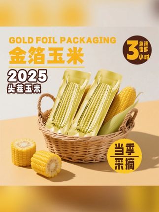 25年头茬新玉米】金箔黄甜糯玉米大棒(300-380g)旗王合作社主产区#玉米 #金黄玉米 #甜糯玉米 #玉米大棒 #玉米推荐