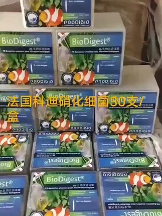 法国科迪硝化细菌水质稳定剂鱼缸净水剂淡海水族微量元素消化细菌#水族