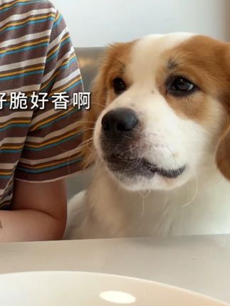 鹿茸菇脆!肥美鲜香,好吃到直接停不下来#健康零食 #零食推荐 #追剧小零食 #萌宠出道计划