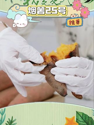 【盈羽】烟薯25号4.5斤装单果150g+(7-11个) #烟薯25号 #烟薯 #番薯 #辅食 #好物推荐